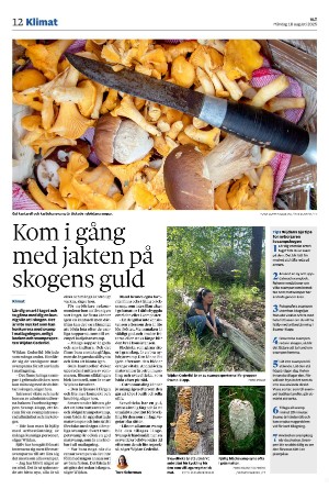 vestmanlandslanstidning-20250818_000_00_00_012.pdf