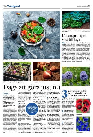 vestmanlandslanstidning-20250818_000_00_00_014.pdf
