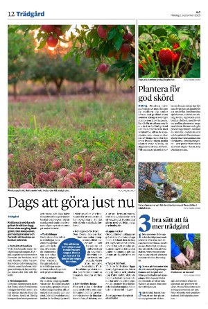 vestmanlandslanstidning-20250901_000_00_00_012.pdf