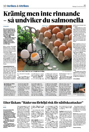vestmanlandslanstidning-20250915_000_00_00_010.pdf
