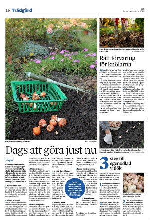 vestmanlandslanstidning-20250916_000_00_00_018.pdf