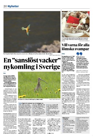 vestmanlandslanstidning-20250917_000_00_00_020.pdf