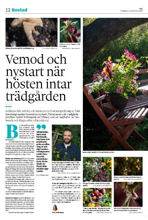 vestmanlandslanstidning-20250921_000_00_00_012.pdf
