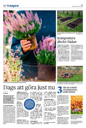 vestmanlandslanstidning-20251001_000_00_00_010.pdf