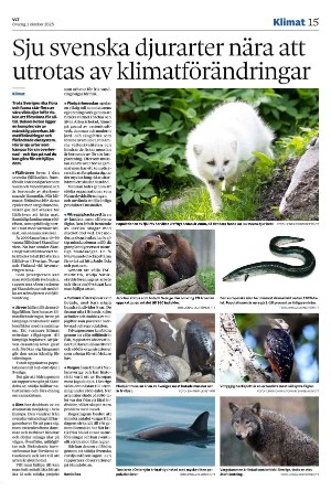 vestmanlandslanstidning-20251001_000_00_00_015.pdf