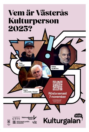 vestmanlandslanstidning-20251020_000_00_00_013.pdf