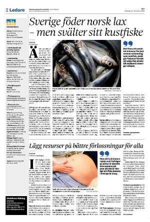 vestmanlandslanstidning-20251022_000_00_00_002.pdf