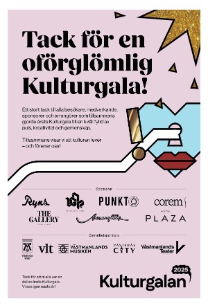 vestmanlandslanstidning-20251113_000_00_00_007.pdf