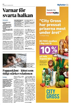 vestmanlandslanstidning-20251113_000_00_00_011.pdf