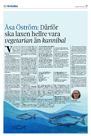 vestmanlandslanstidning-20251114_000_00_00_010.pdf