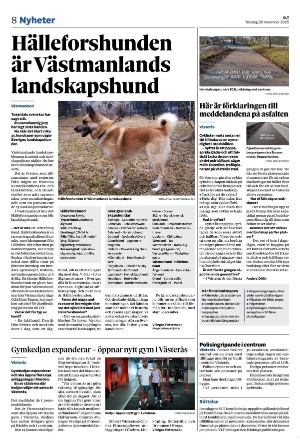 vestmanlandslanstidning-20251120_000_00_00_008.pdf
