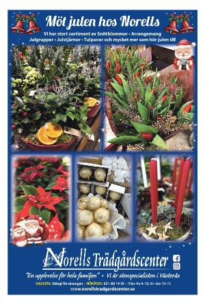 vestmanlandslanstidning-20251220_000_00_00_013.pdf