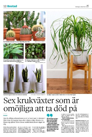 vestmanlandslanstidning-20251221_000_00_00_012.pdf