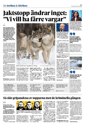 vestmanlandslanstidning-20260201_000_00_00_016.pdf