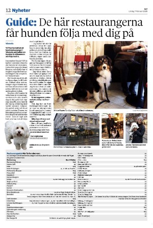 vestmanlandslanstidning-20260207_000_00_00_012.pdf