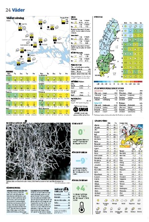 vestmanlandslanstidning-20260301_000_00_00_024.pdf