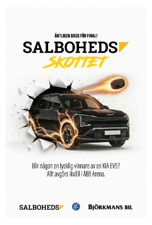 vestmanlandslanstidning-20260306_000_00_00_011.pdf