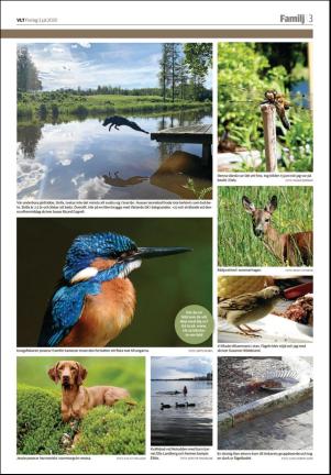 vestmanlandslanstidning_b-20200703_000_00_00_003.pdf