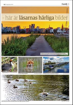 vestmanlandslanstidning_b-20200728_000_00_00_003.pdf