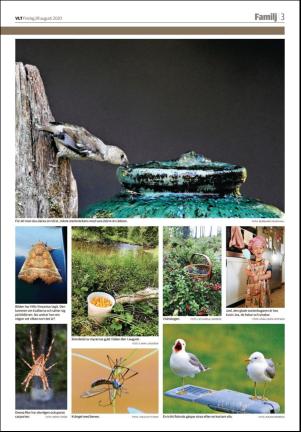 vestmanlandslanstidning_b-20200828_000_00_00_003.pdf