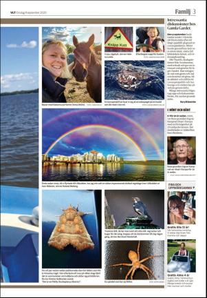 vestmanlandslanstidning_b-20200909_000_00_00_003.pdf