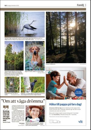 vestmanlandslanstidning_b-20201016_000_00_00_003.pdf