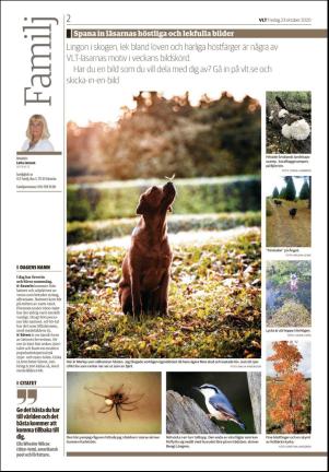 vestmanlandslanstidning_b-20201023_000_00_00_002.pdf