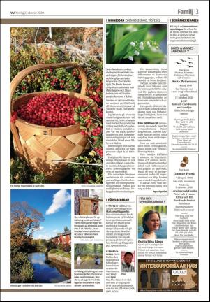 vestmanlandslanstidning_b-20201023_000_00_00_003.pdf