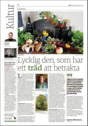 vestmanlandslanstidning_b-20201026_000_00_00_004.pdf