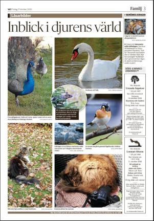 vestmanlandslanstidning_b-20201027_000_00_00_003.pdf