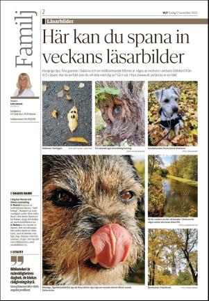 vestmanlandslanstidning_b-20201117_000_00_00_002.pdf