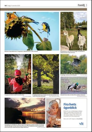 vestmanlandslanstidning_b-20201117_000_00_00_003.pdf