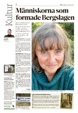 vestmanlandslanstidning_b-20201125_000_00_00_004.pdf