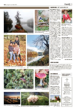 vestmanlandslanstidning_b-20201128_000_00_00_003.pdf