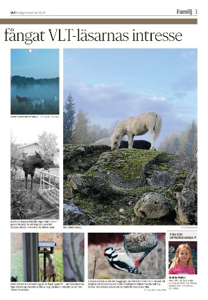 vestmanlandslanstidning_b-20201204_000_00_00_003.pdf