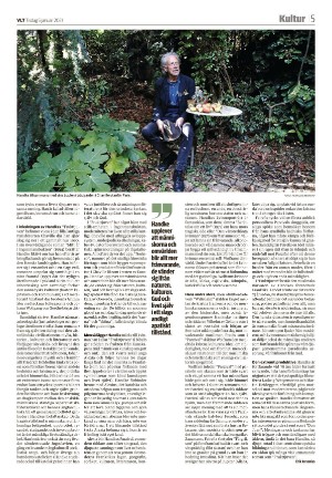 vestmanlandslanstidning_b-20210105_000_00_00_005.pdf