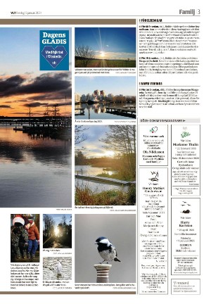 vestmanlandslanstidning_b-20210115_000_00_00_003.pdf