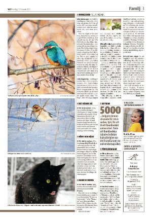 vestmanlandslanstidning_b-20210212_000_00_00_003.pdf