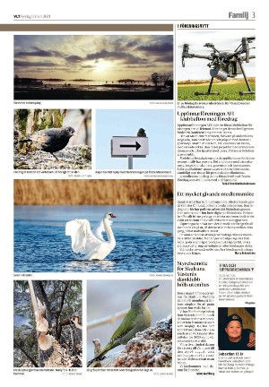 vestmanlandslanstidning_b-20210312_000_00_00_003.pdf