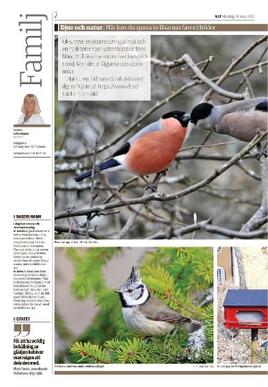 vestmanlandslanstidning_b-20210329_000_00_00_002.pdf