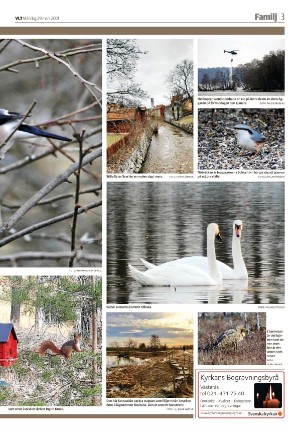 vestmanlandslanstidning_b-20210329_000_00_00_003.pdf