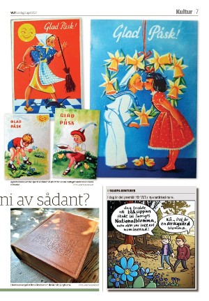 vestmanlandslanstidning_b-20210403_000_00_00_007.pdf