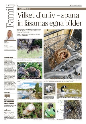 vestmanlandslanstidning_b-20210519_000_00_00_002.pdf