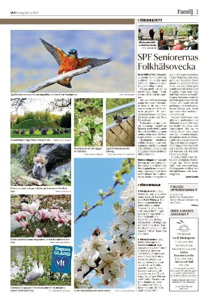 vestmanlandslanstidning_b-20210528_000_00_00_003.pdf