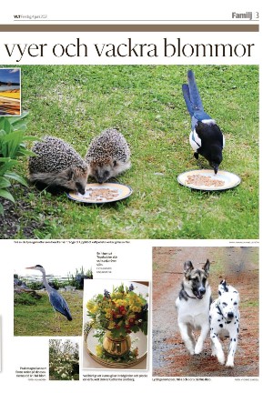 vestmanlandslanstidning_b-20210604_000_00_00_003.pdf