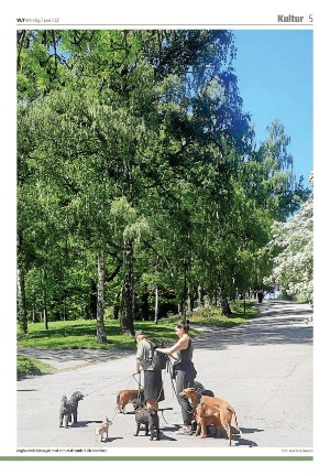 vestmanlandslanstidning_b-20210607_000_00_00_005.pdf