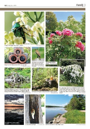 vestmanlandslanstidning_b-20210618_000_00_00_003.pdf