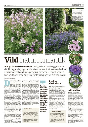 vestmanlandslanstidning_b-20210618_000_00_00_009.pdf