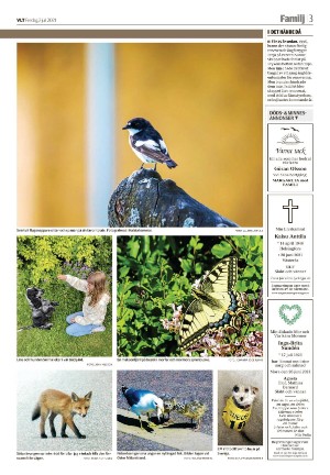 vestmanlandslanstidning_b-20210702_000_00_00_003.pdf