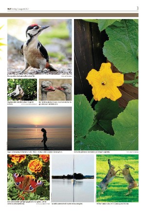 vestmanlandslanstidning_b-20210813_000_00_00_003.pdf